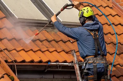 Démoussage et hydrofuge de toiture à Chénas